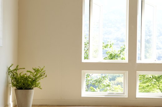 Neutral Paint
