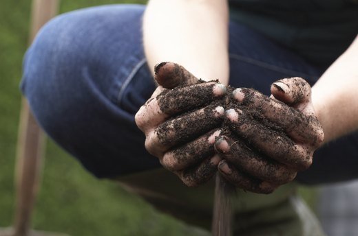 Early Spring: Check the Soil