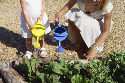 Grow Your Own Garden