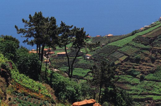 Madeira Island, Portugal