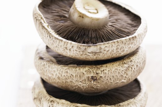 Mushrooms