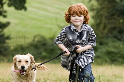 Go to the Dogs