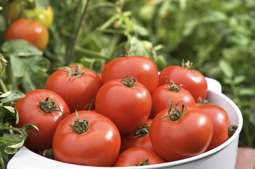 Tomatoes
