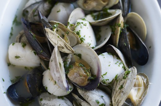 Mussels