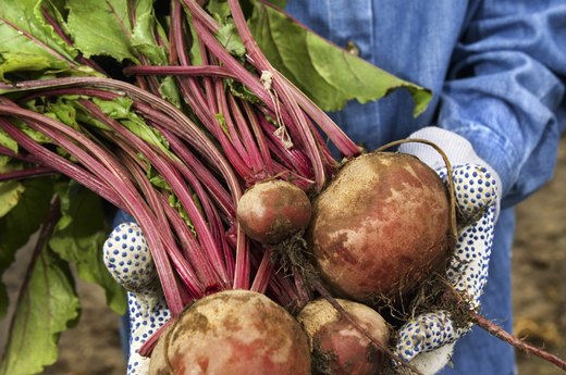Turnips