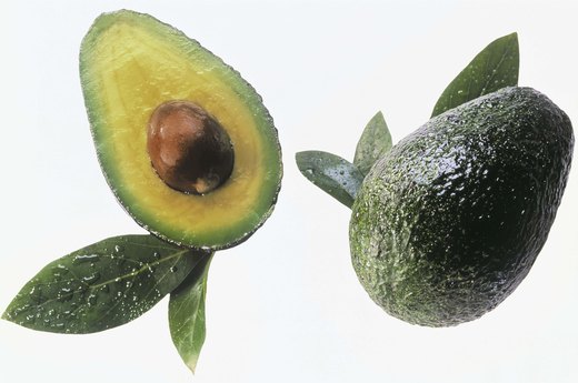 The Avocado