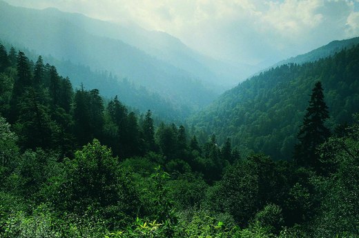 Appalachian Trail
