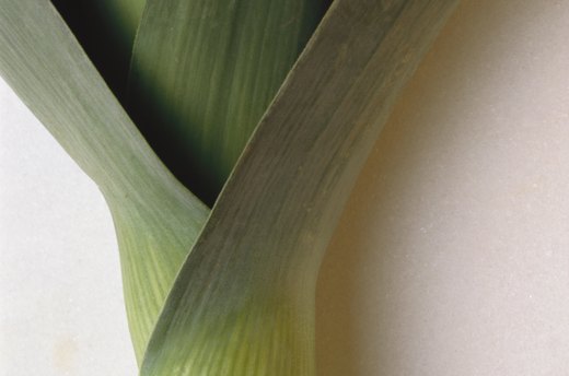 Leeks