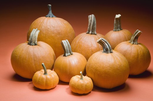 Bite Into Autumn: Just Add Pumpkin