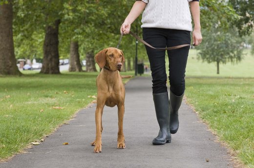 Set Aside Time to Walk