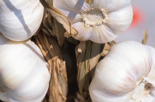 Onions and Garlic Ward Off Pests