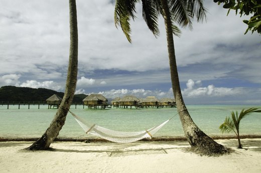Tropical Paradise