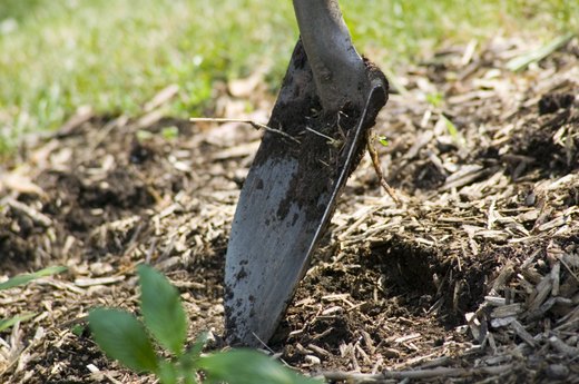 Mid Spring: Protect Your Plants