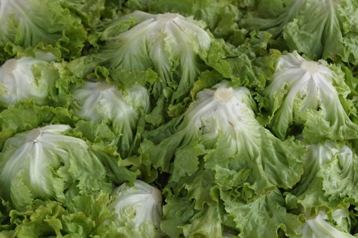 Lettuce