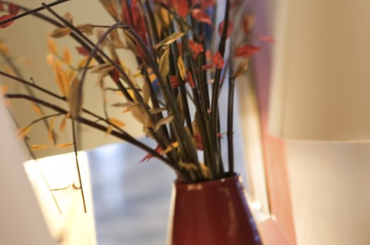 Plants