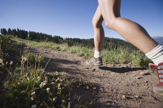 365-Day Guide to Exercise