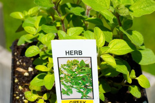 Label Your Garden