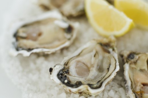 Oysters