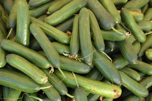 Cucumber