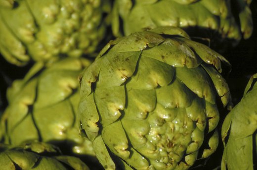 Artichoke