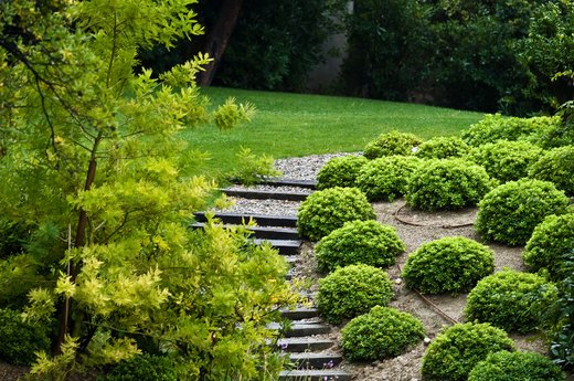 10 Outdoor Pathway Perennials