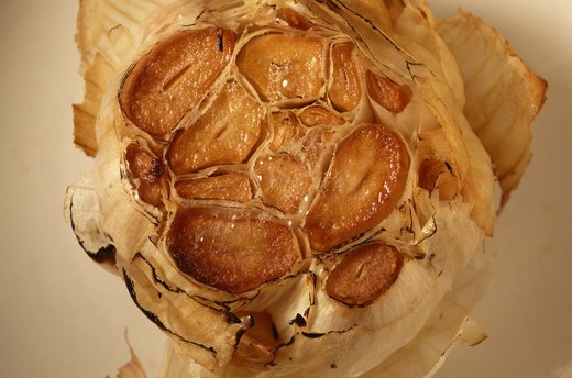 Garlic