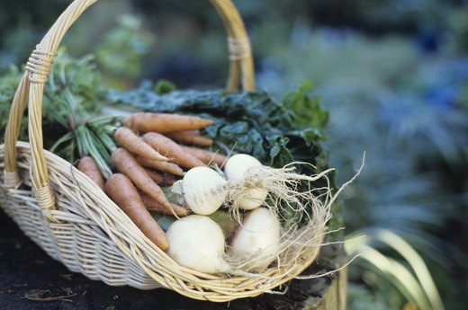 Top 10 Vegetable Seeds