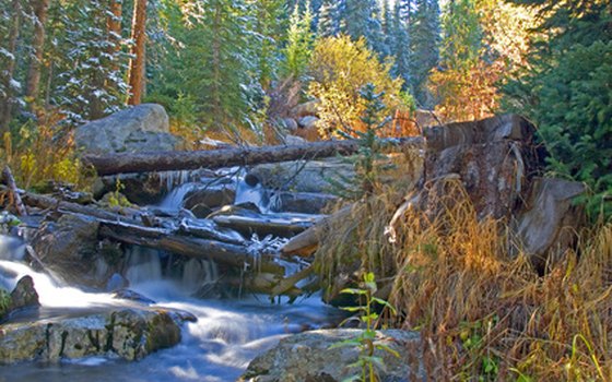 The Flat Tops Wilderness area includes 235,000 acres of pristine wild country accessible only by horseback and on foot.