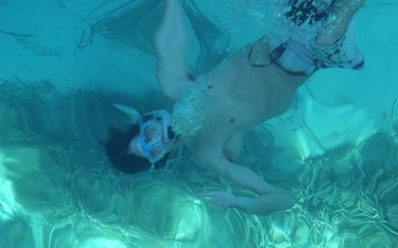If you have a snorkel, bring it along! Some of Florida's best attractions are found underwater.