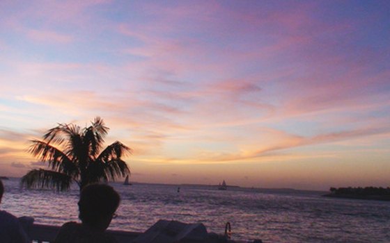 Join the daily sunset celebration in Key West at Mallory Square.