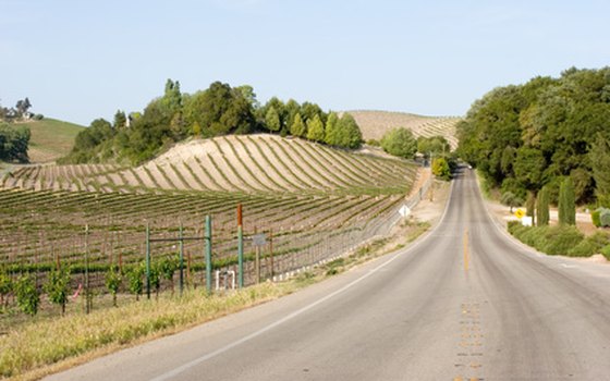 Following a winery trail map near Austin allows visitors to decide their own pace and preferred destinations.