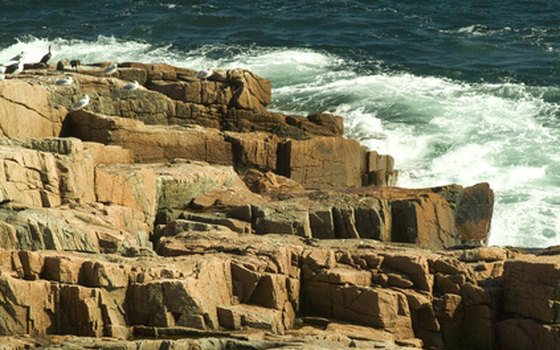 Acadia's rocky coast reveals tide pools when the surf recedes.