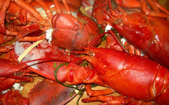 Lobsters are so plentiful near Rosarito that they were onced used for bait.