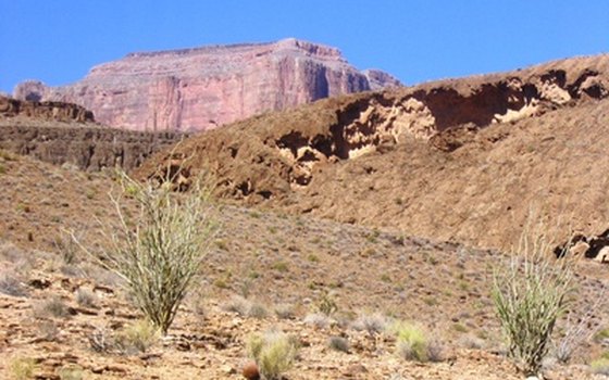 Horseback riding is allowed in Grand Canyon National Park, either on guided tours or with your own horses.