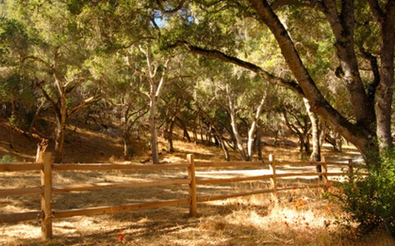 Carmel is surrounded by panoramic countryside, beaches and mountains.