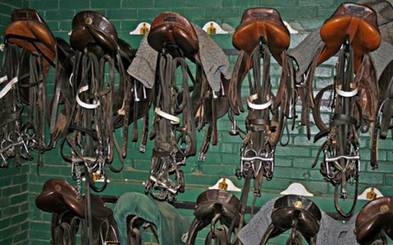 Some facilities provide saddles and tack for rent, but your horse is likely to be more comfortable in familiar gear.