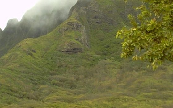 Hawaiian landscape.