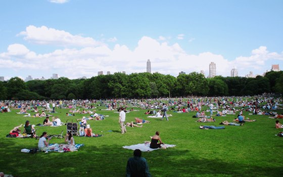 You can virtually explore Central Park on VirtualNYCTour.