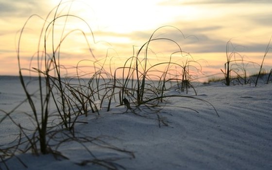 Pensacola Beach