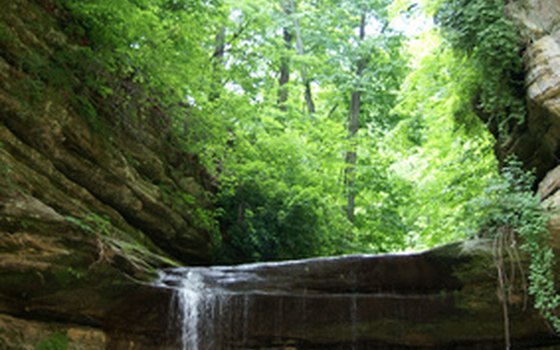 French Canyon at Starved Rock State Park is one of many awe-inspiring rock formations.