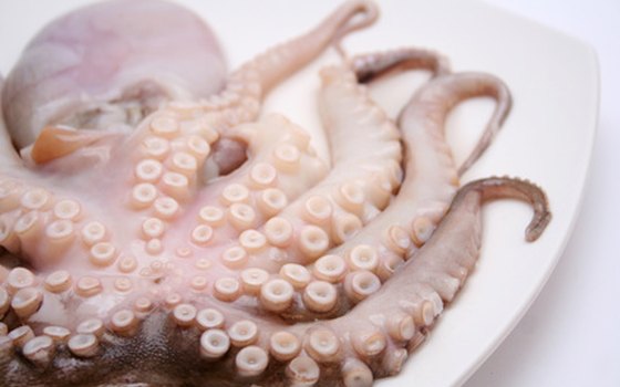 Octopus may replace meat in coastal dishes.