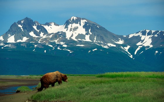 Keep your distance as you spend time with Alaska's native inhabitants.