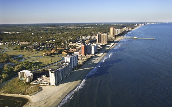 You can spot marine life at the coast of Myrtle Beach.