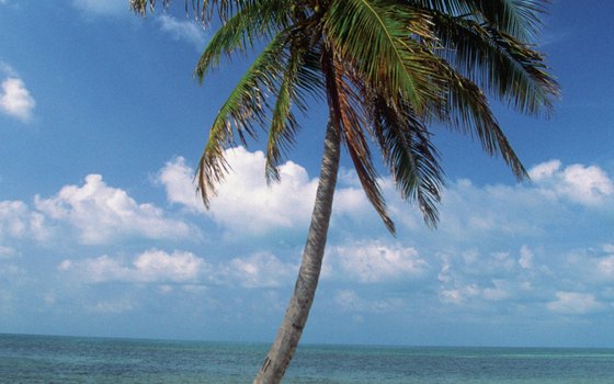 Florida's Dry Tortugas beach is on a secluded island.