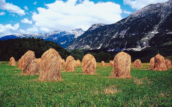 One of Slovenia's pristine Alpine landscapes.