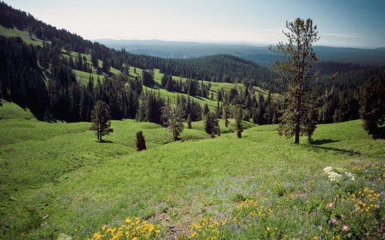 Large national parks like Yellowstone have enormous backcountry acreage.