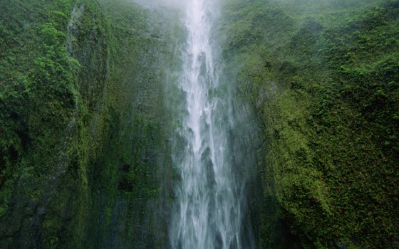 The mountainous regions of Maui feature waterfalls and rain forests.