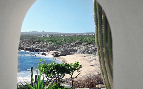 In Cabo, the rolling Pacific waves meet rocky desert landscapes.