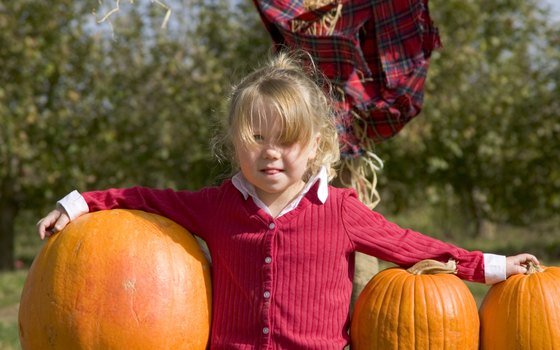 Scarecrow contests and pumpkins provide Harvest Days fun throughout Harbor Country.