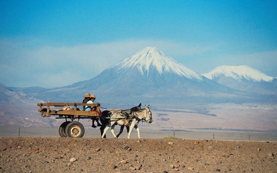 The Atacama Desert is one of the world's driest places.